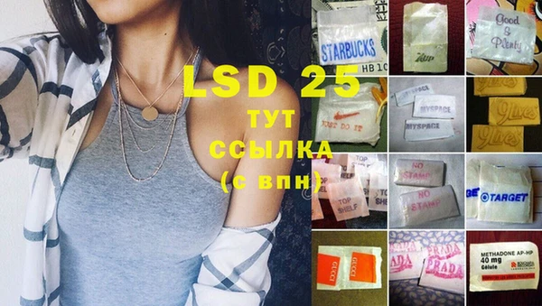 шишки Осинники