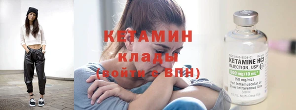 шишки Осинники