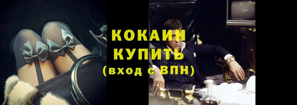 шишки Осинники