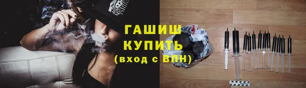 шишки Осинники