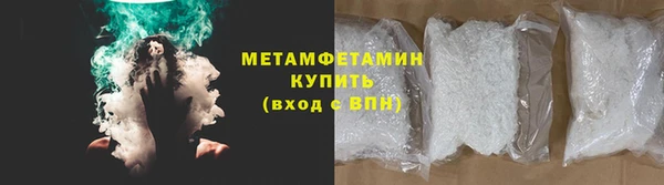 шишки Осинники