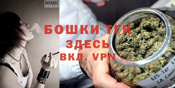 шишки Осинники