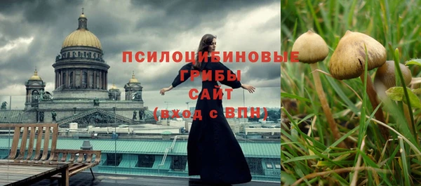 бутират Осташков