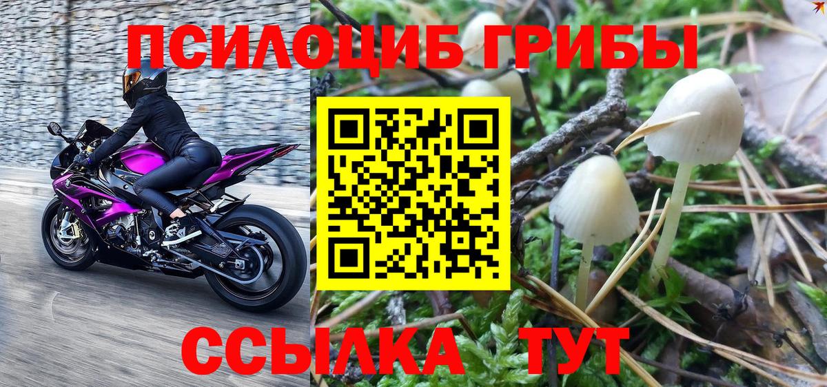 Галлюциногенные грибы мицелий  Павловский Посад 